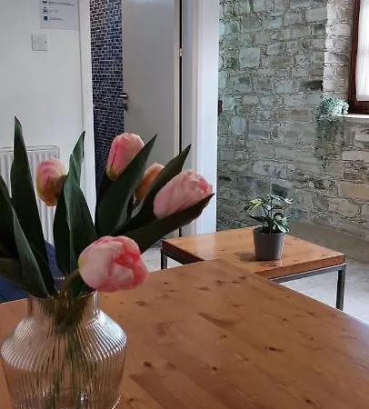 Anesi House סקארינו