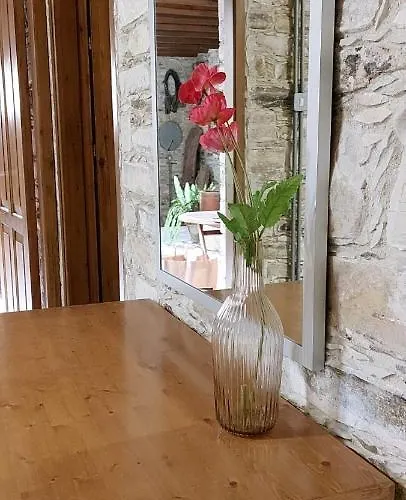 Venkovský dům Anesi House *