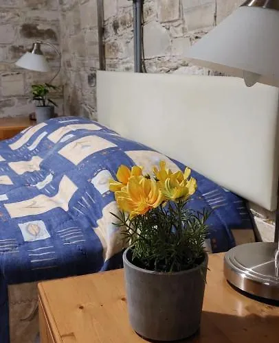 Venkovský dům Anesi House *