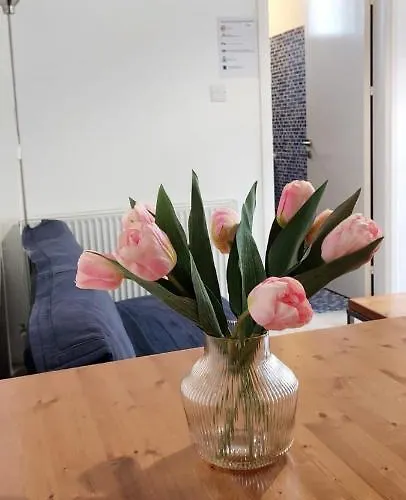 Venkovský dům Anesi House *